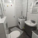 With Garage Apartment